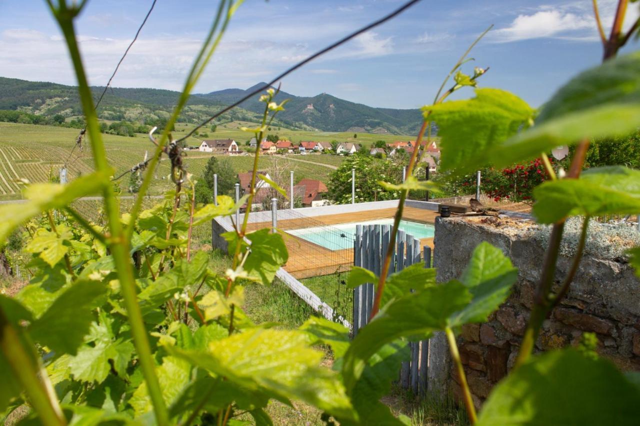 Le Zell Villa Zellenberg Exterior photo