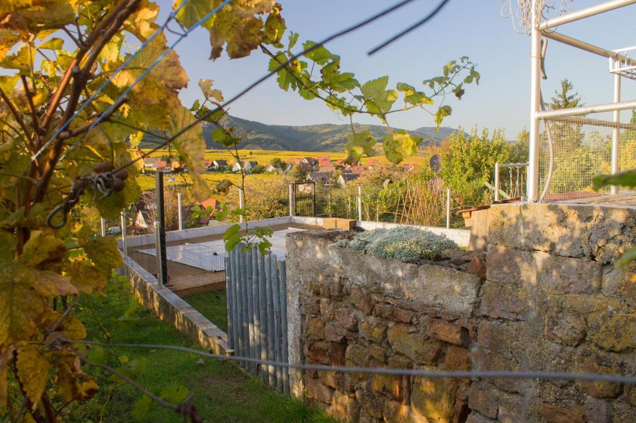 Le Zell Villa Zellenberg Exterior photo